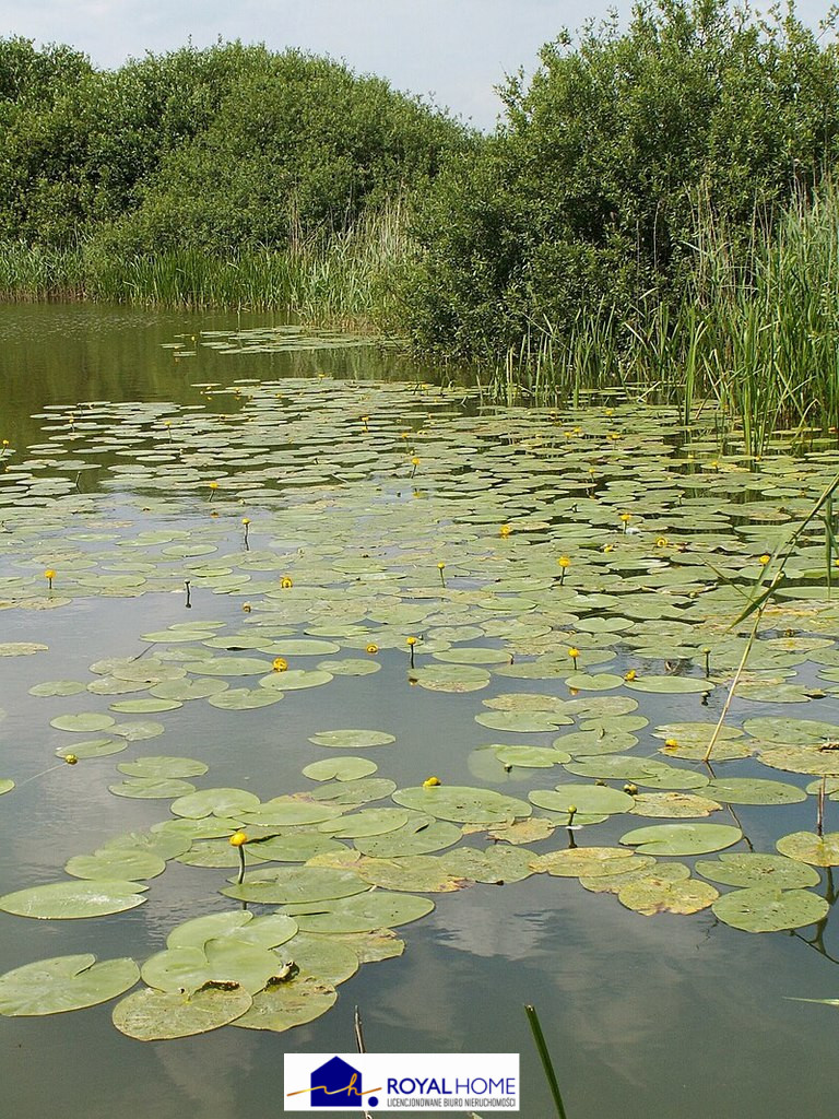 Działka rolna 3000 m2 Giżyn z dostępem do jeziora